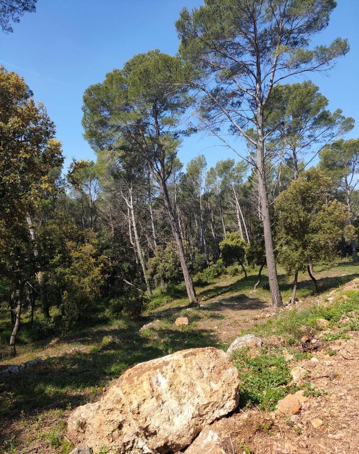 Les Hauts Du Peireguier La Motte Εξωτερικό φωτογραφία